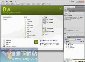 網(wǎng)頁制作與軟件開發(fā)常用工具指南